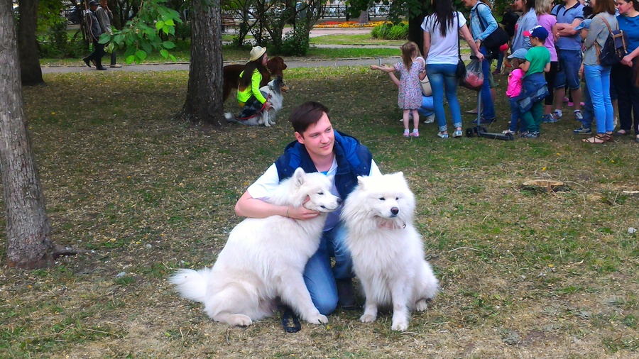 В Перми появились собаки-обнимаки