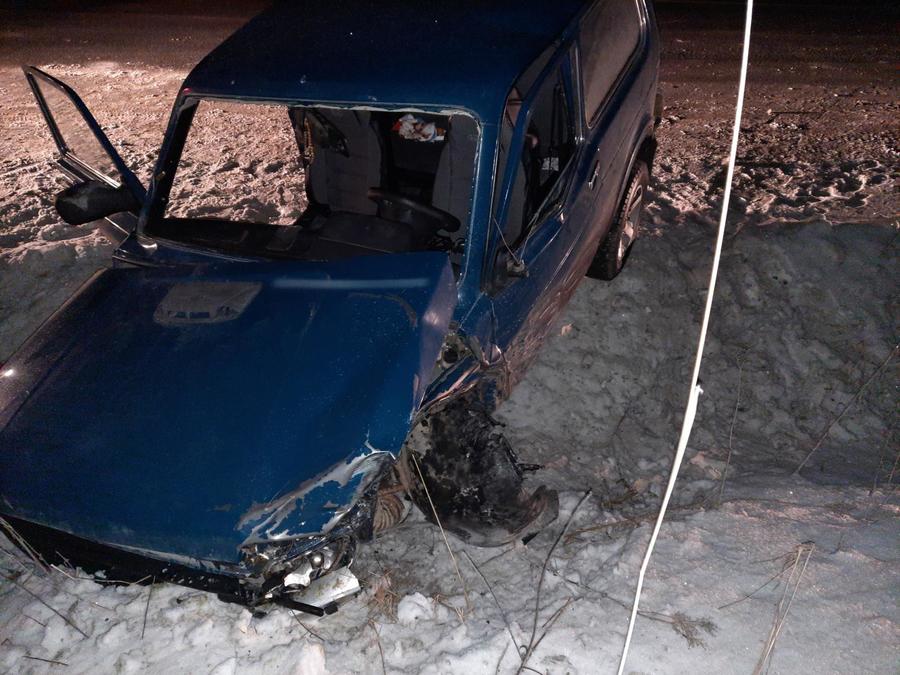 В Березниковском округе пьяный водитель Нивы совершил ДТП с пострадавшими - фото 1
