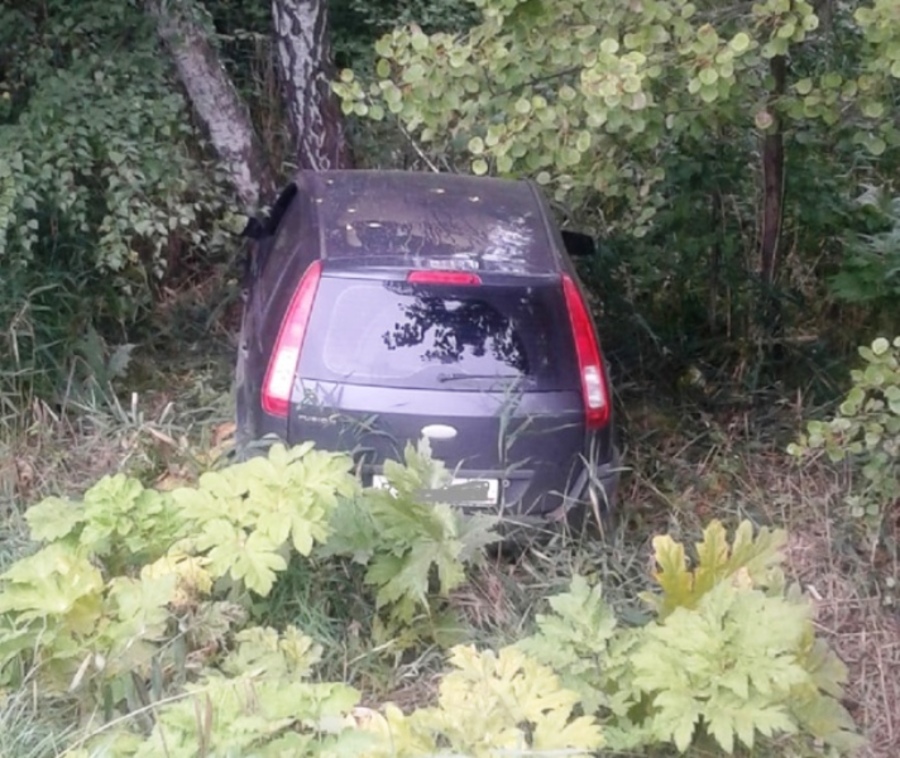 Житель Верещагино угнал автомобиль и врезался в дерево - фото 1