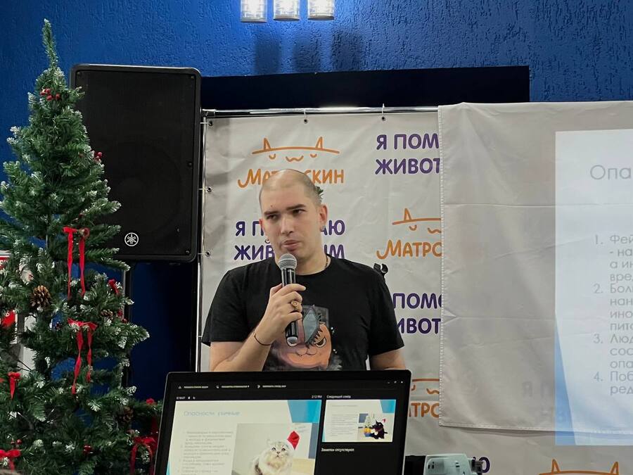 Коты на большом экране: в Перми показали первый фильм из забавных видео о пушистых любимцах - фото 4